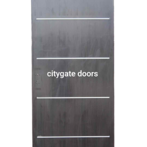 Israeli wooden door - citygate door