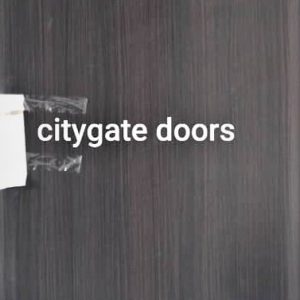 israeli wooden door - citygate doors